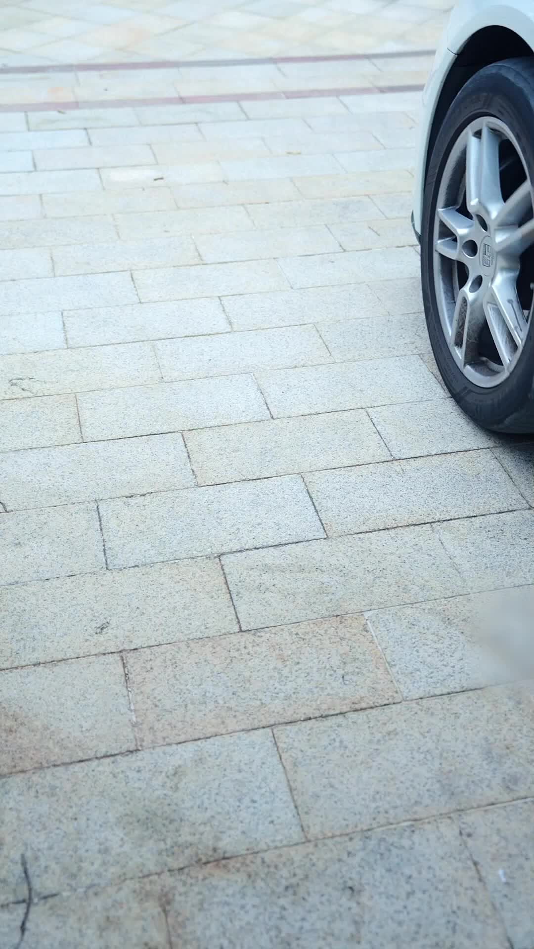 Episode 10 - I See the Whole Game